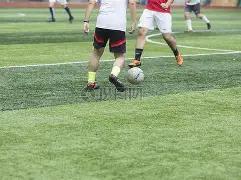 最新排名,前三甲保持,不变,PG电子官网,PG电子试玩,PG电子模拟器,PG电子平台,PG电子下载