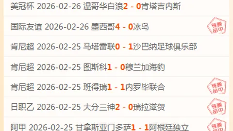 “17岁新星大马丁，十年磨砺终加盟维拉，28岁开启辉煌新篇章”