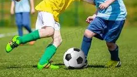 强化“三农”基础，助力乡村振兴全面提速