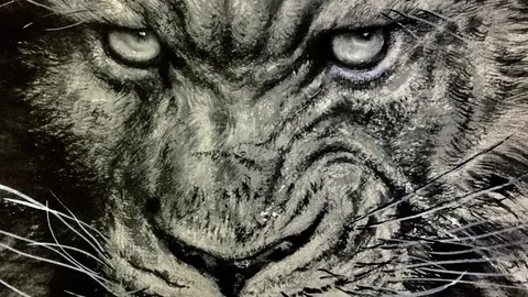 杀戮尖塔2新手攻略：卡牌解析与开荒路径推荐